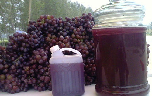 自釀葡萄酒真的有毒嗎