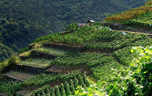 德國葡萄酒產(chǎn)區(qū)