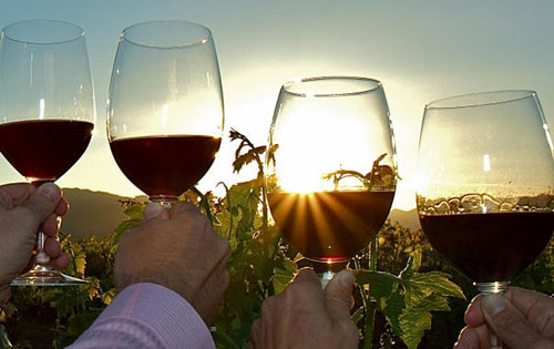 美國紅酒歷史及產區知識