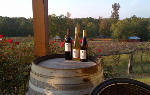 葡萄酒相關新聞