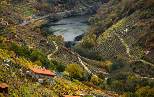 薩克拉河岸產區(qū)（Ribeira Sacra）