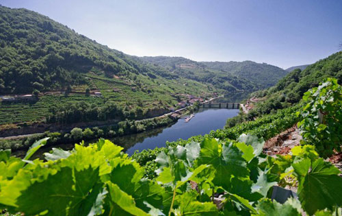 加利西亞產(chǎn)區(qū)（Galicia）