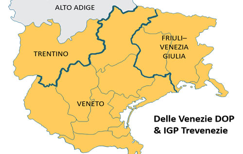 維內茲被宣布成為意大利第335個法定產區