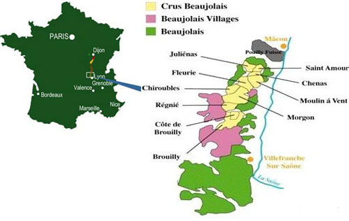 博若萊產區葡萄酒分級