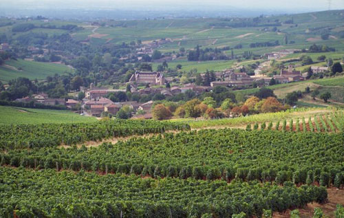 馬貢（Maconnais）AOC法定產(chǎn)區(qū)