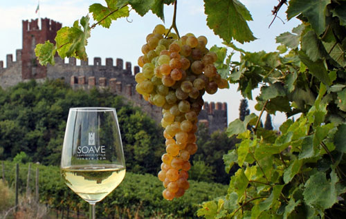 索阿維法定產區干白葡萄酒