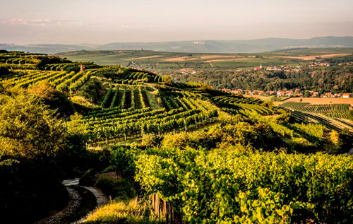 中部布爾根蘭（Mittelburgenland DAC）