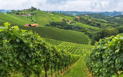 施泰爾馬克產區（Steiermark）