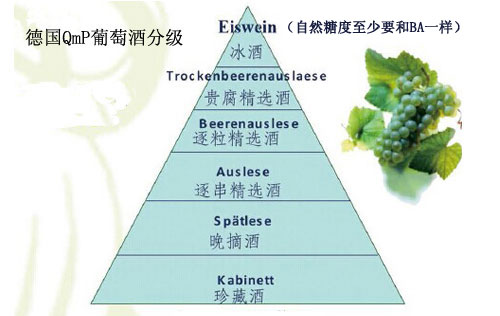 德國QmP葡萄酒分級