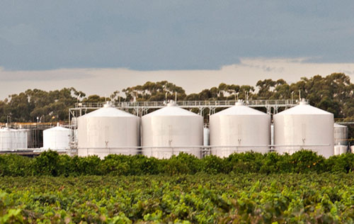 沃爾本酒莊（Warburn Estate）