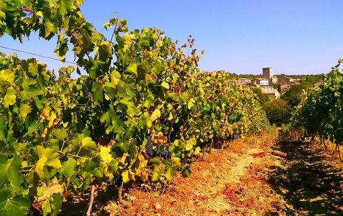 卡巴爾岱產區(qū)（Cabardes）