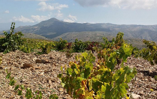 安達盧西亞（Andalucia）