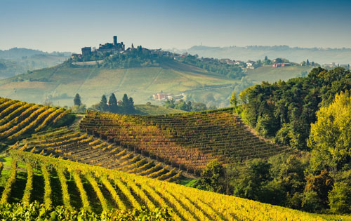 意大利皮埃蒙特產區