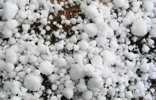 意大利北部多個葡萄酒產區遭受暴雨冰雹災害
