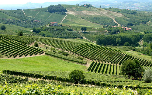 皮埃蒙特大區（Piemonte）