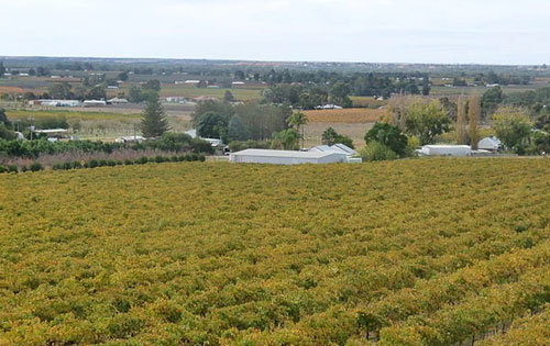 河地產區（Riverland）