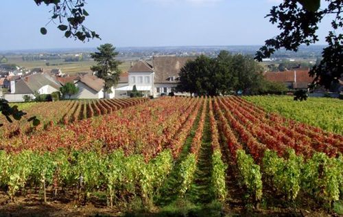 拉夢內酒莊（Domaine Ramonet）