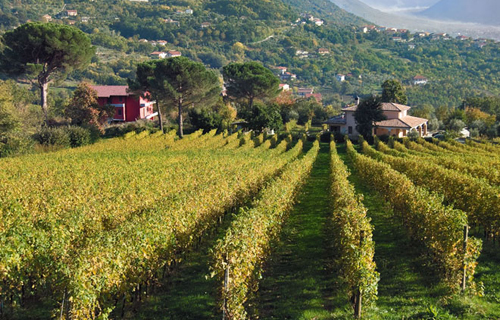 伊皮尼亞產區（Irpinia）