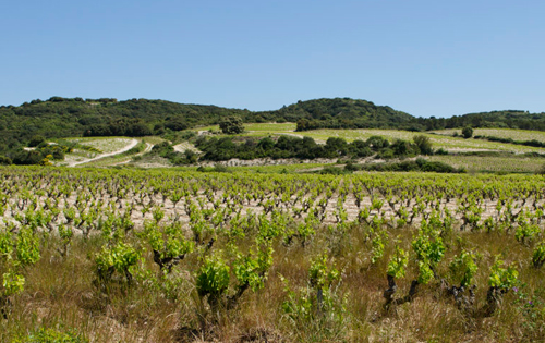 塔維勒（Tavel）葡萄酒產區