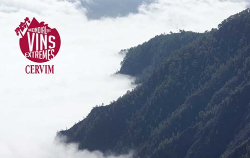  世界極限風土葡萄酒大賽（Mondial des Vins Extrêmes）