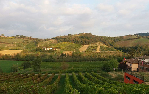 意大利匹諾雷托法定產(chǎn)區(qū)確定正式更名