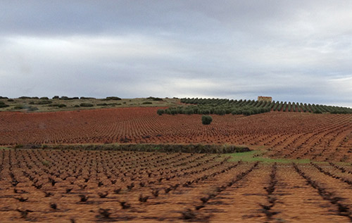 瓦爾德佩涅斯產區（Valdepenas）
