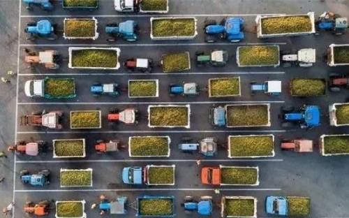 意大利超半數合作社酒莊贊同加快生態轉型