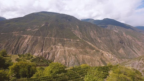 敖云酒莊（Ao Yun）