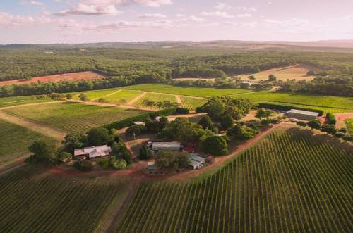 富邑葡萄酒集團(tuán)收購譽(yù)加旗下雅拉谷葡萄園